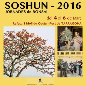 CARTELL2016_GaMiqu_BO_JO