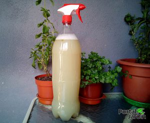 08_Jab_n_Pot_sico_Pulgones_Portal_Jard_n
