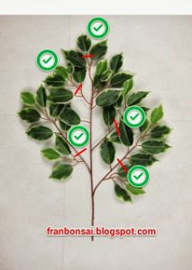 Skitch10