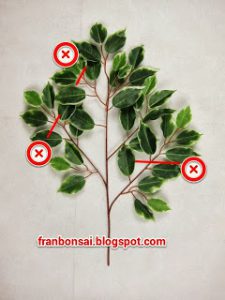 Skitch6