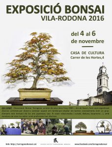 expovila-facebook